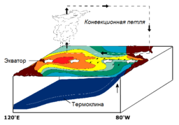   .        .        . (NOAA / PMEL / TAO)